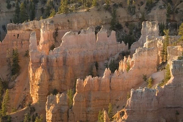 Fairyland Canyon, Bryce Canyon National Park, Utah, United States of America