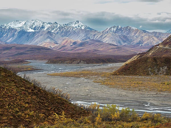 Fall color change amongst the trees and shrubs in Polychrome Pass in Denali National Park, Alaska, United States of America, North America