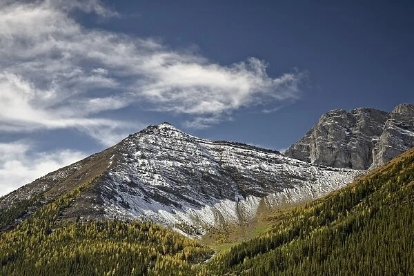 Fall color and fresh snow near Highwood Pass, Peter Lougheed Provincial Park