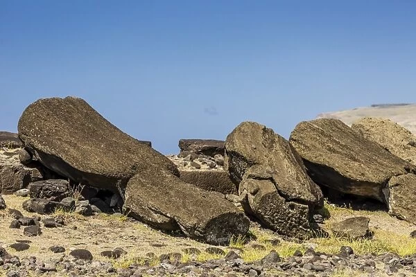 Fallen moai at Ura Uranga Te Mahina ceremonial site on Easter Island (Isla de Pascua) (Rapa Nui), UNESCO World Heritage Site, Chile, South America