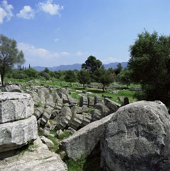 Fallen pillars from the Temple of Zeus