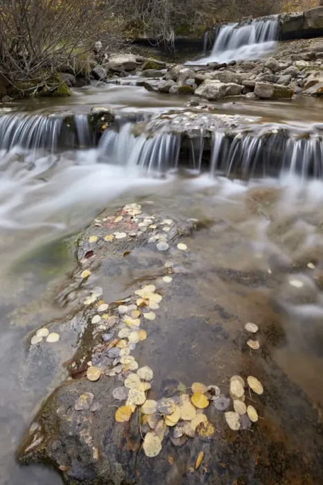 Framed Print : Falls on the Big Bear Creek in the fall, San Miguel County, Colorado, United States of America, North America