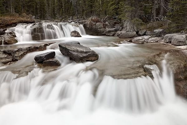 Falls on Nigel Creek, Banff National Park, UNESCO World Heritage Site, Alberta, Canada, North America