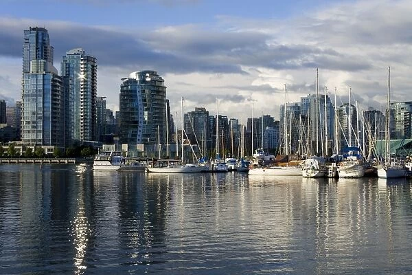 False Creek and skyline, Vancouver, British Columbia, Canada, North America