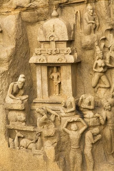 The famous bas relief panel of Arjunas Penance (Bhagirathas Penance) at Mahabalipuram