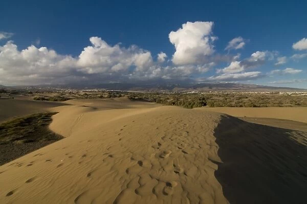 The famous sand dunes of Maspalomas, Gran Canaria, Canary Islands, Spain, Europe