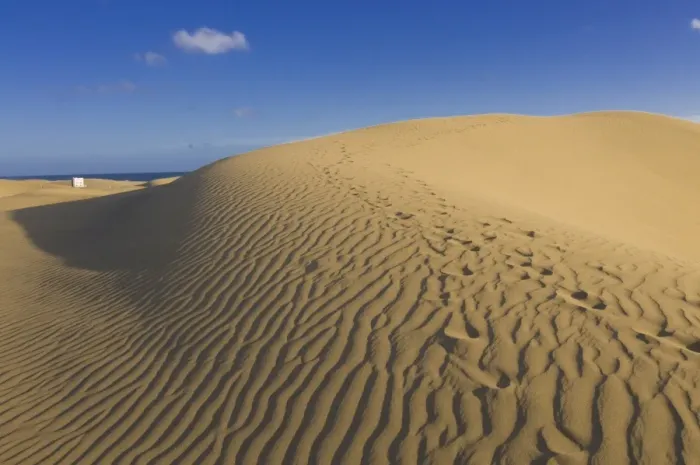 Framed Print : Famous sand dunes of Maspalomas, Gran Canaria, Canary Islands, Spain, Europe Framed Print : Famous sand dunes of Maspalomas, Gran Canaria, Canary Islands, Spain, Europe