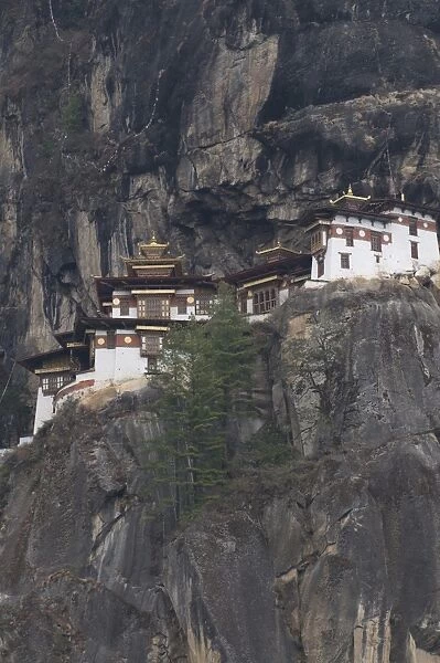 The famous Taktshang Goempa (Tigers Nest Monastery), Bhutan, Asia