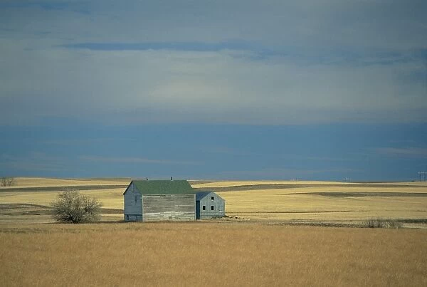 Farm buildings on the prairie