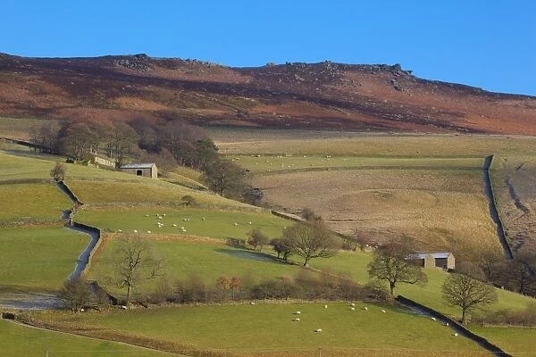 Farm buildings and walls, Derwent Valley, Peak District National Park, Derbyshire, England, United Kingdom, Europe