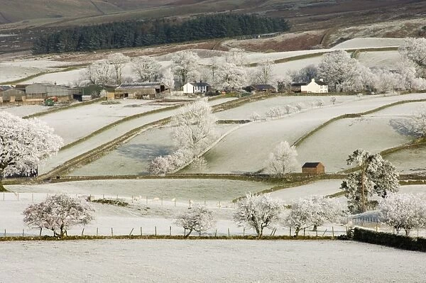 Farm community, the Pennines in winter, Cumbria, England, United Kingdom, Europe