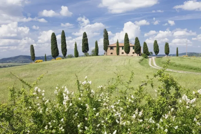 Framed Print : Farm house with cypress trees, near Pienza, Val d Orcia (Orcia Valley), UNESCO World Heritage Site