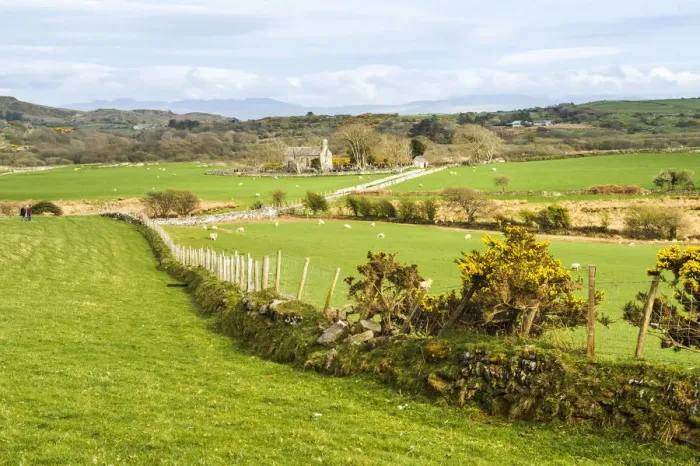 Framed Print : Farm land in Snowdonia National Park, North Wales, Wales, United Kingdom, Europe Framed Print : Farm land in Snowdonia National Park, North Wales, Wales, United Kingdom, Europe