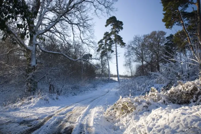 Framed Print : Farm track after snow, Dormansland, Surrey, England, United Kingdom, Europe Framed Print : Farm track after snow, Dormansland, Surrey, England, United Kingdom, Europe