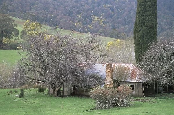 Farm, Upper Blessington, Tasmania, Australia, Pacific