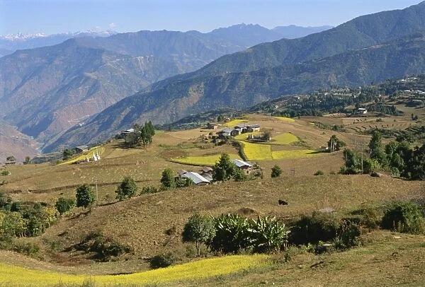 Farmed fields in mountainous landscape, eastern Bhutan, Asia
