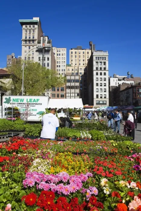 Framed Print : Farmers Market in Union Square, Midtown Manhattan, New York City, New York Framed Print : Farmers Market in Union Square, Midtown Manhattan, New York City, New York