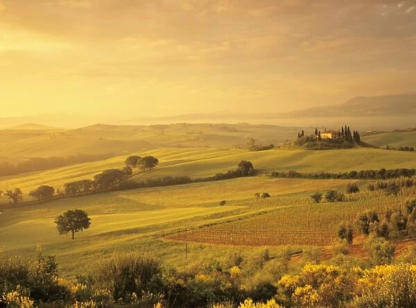Farmhouse Belvedere at sunrise, UNESCO World Heritage Site, Val d Orcia, San Quirico, Province Siena, Tuscany, Italy, Europe