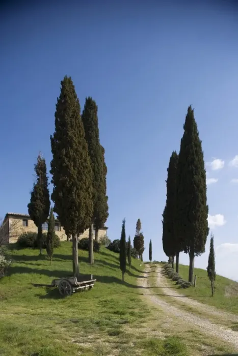 Framed Print : Farmhouse called Il Belvedere near San Quirico Framed Print : Farmhouse called Il Belvedere near San Quirico