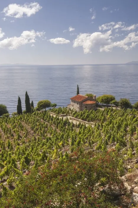 Framed Print : Farmhouse and cultivated fields overlooking the sea, Pomonte, Marciana, Elba Island Framed Print : Farmhouse and cultivated fields overlooking the sea, Pomonte, Marciana, Elba Island