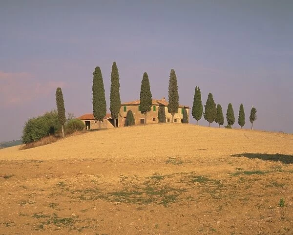 Farmhouse and cypress trees