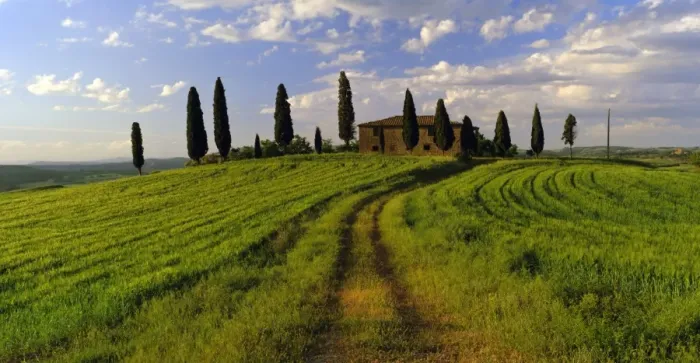 Framed Print : Farmhouse and cypress trees near Pienza Framed Print : Farmhouse and cypress trees near Pienza
