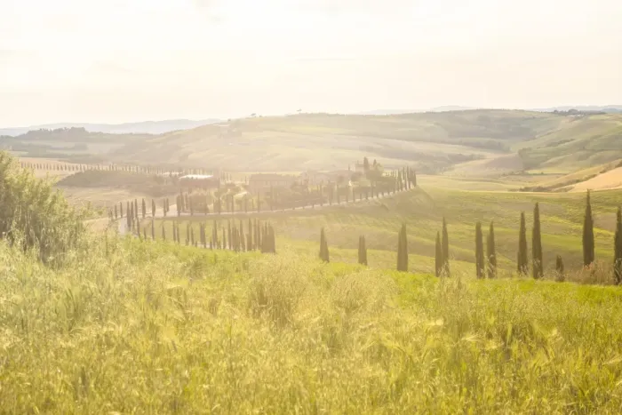 Framed Print : Farmhouse and cypresses, Val d Orcia (Orcia Valley), UNESCO World Heritage Site, Tuscany Framed Print : Farmhouse and cypresses, Val d Orcia (Orcia Valley), UNESCO World Heritage Site, Tuscany
