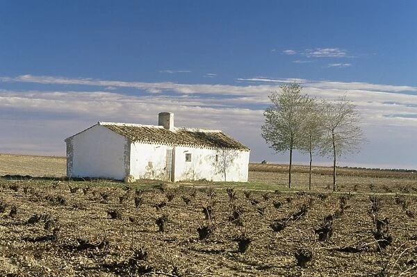 Farmhouse near Valdepenas