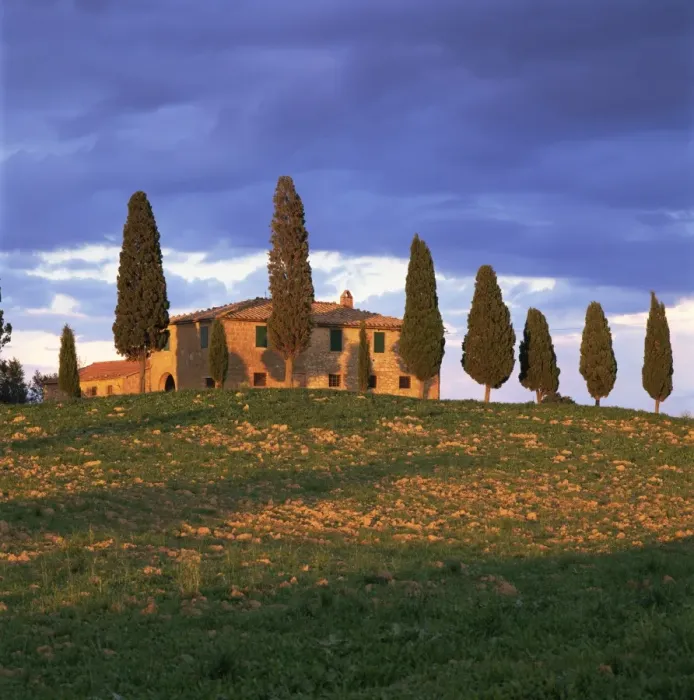 Framed Print : Farmhouse and trees near Pienza, Siena Province, Tuscany, Italy, Europe