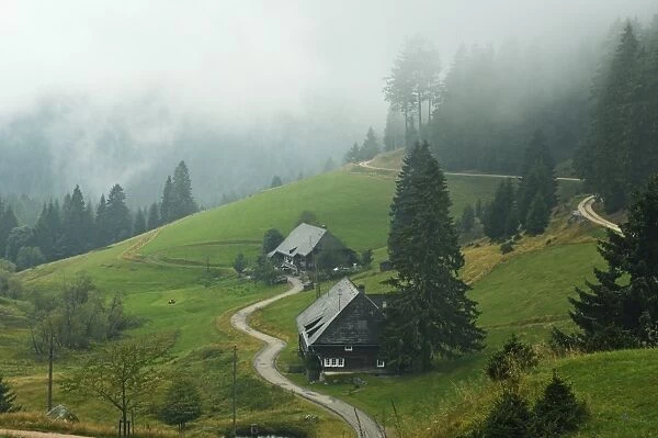 Farmhouses in fog, Muchenland, Black Forest, Baden-Wurttemberg, Germany, Europe