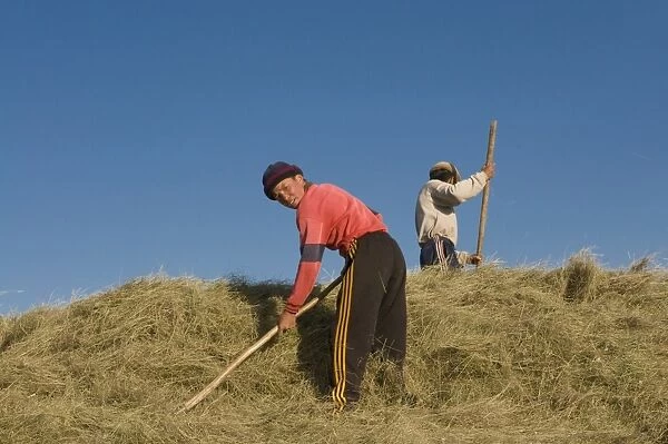 Farming family working in the field, Sary Tash, Kyrgyzstan, Central Asia, Asia