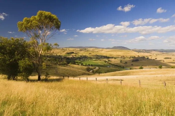 Framed Print : Farmland, Buchan, Victoria, Australia, Pacific Framed Print : Farmland, Buchan, Victoria, Australia, Pacific