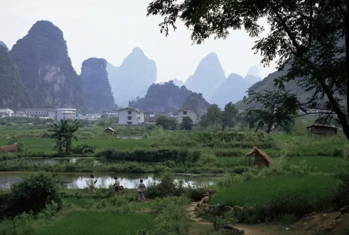Framed Print : Farmland on edge of town, among the limestone towers, Yangshuo, Guangxi, China, Asia Framed Print : Farmland on edge of town, among the limestone towers, Yangshuo, Guangxi, China, Asia