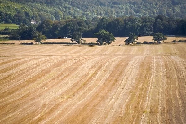 Farmland after harvesting, view from the Ridgeway Path, Pitstone Hill, Buckinghamshire