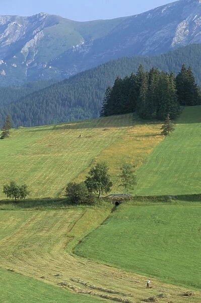Farmland in the High Tatra Mountains near Zdiar and Polish border