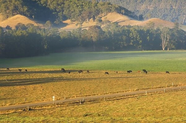 Farmland, Mount Lion, New South Wales, Australia, Pacific