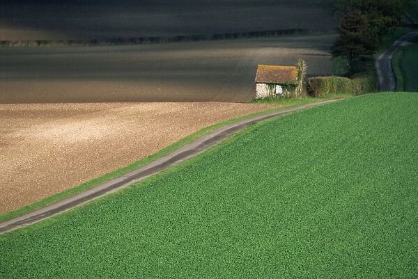 Farmland near Old Winchester Hill, Hampshire, England, United Kingdom, Europe