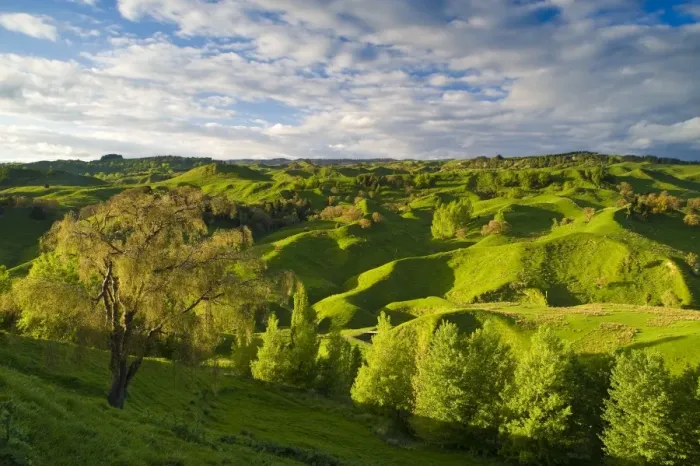 Framed Print : Farmland near Taihape, North Island, New Zealand, Pacific Framed Print : Farmland near Taihape, North Island, New Zealand, Pacific