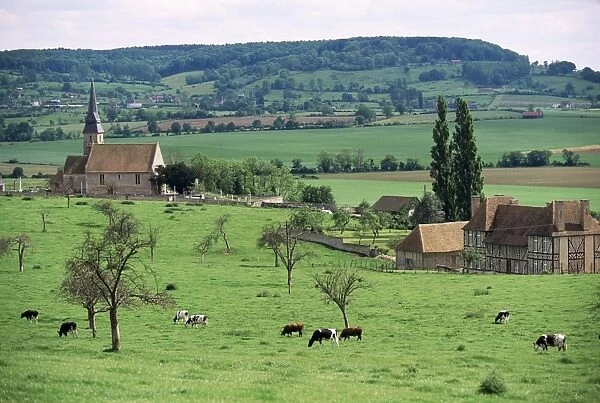 Farms near Vieux-Pont-en-Ange, near Boissey, Basse Normandie (Normandy), France, Europe