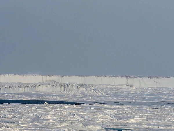 Fast ice with open leads off the east coast of Greenland, Polar Regions