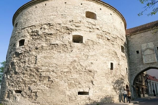 Fat Margaret Tower, old city walls of the Old Town of Tallinn, UNESCO World Heritage Site, Estonia, Baltic States, Europe