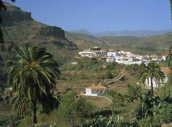 Fataga village in a green landscape, high in the Barranco de Fataga, Fataga