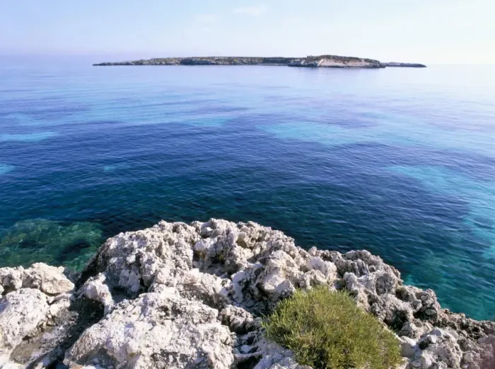 Framed Print : Favignana Island