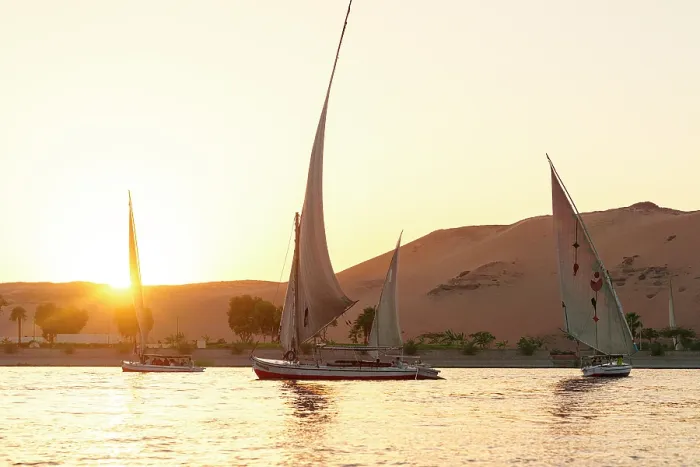 Framed Print : Felucca boats sailing in Nile River at sunset, Aswan, Egypt