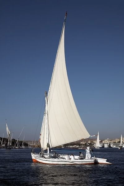 Felucca sailing on the river Nile at Aswan, Egypt, North Africa, Africa