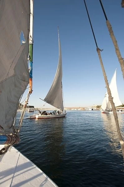 Feluccas on the Nile River, Aswan, Egypt, North Africa, Africa