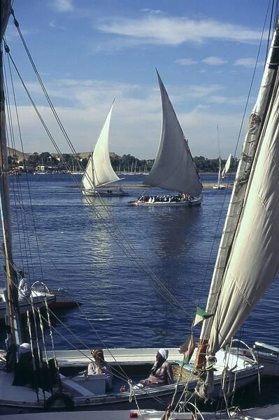 Feluccas on the River Nile, Aswan, Upper Egypt, North Africa, Africa