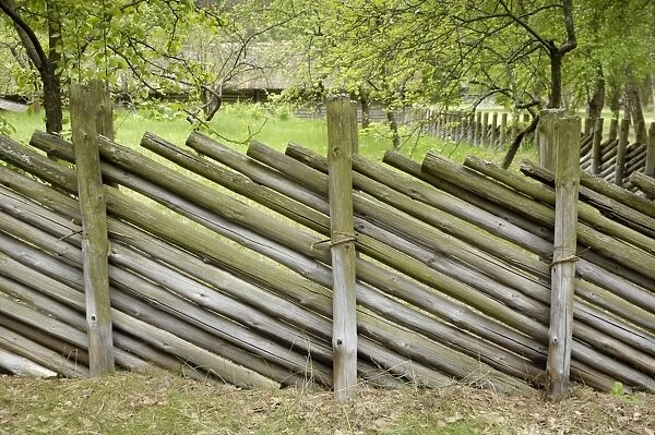 Fencing from the Latgale region