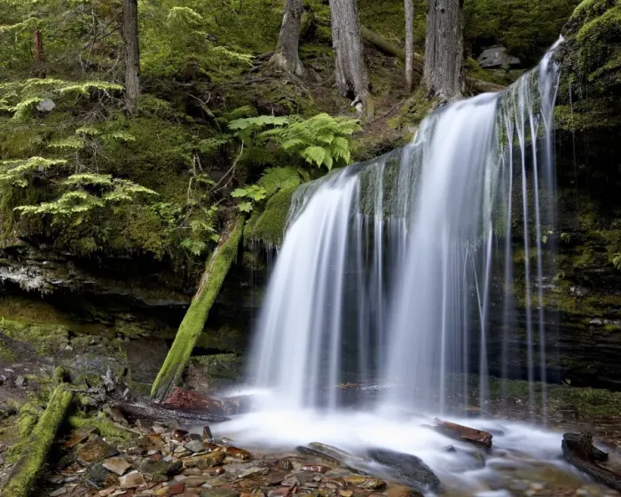 Framed Print : Fern Falls, Coeur d Alene National Forest, Idaho Panhandle National Forests, Idaho, United States of America, North America Framed Print : Fern Falls, Coeur d Alene National Forest, Idaho Panhandle National Forests, Idaho, United States of America, North America