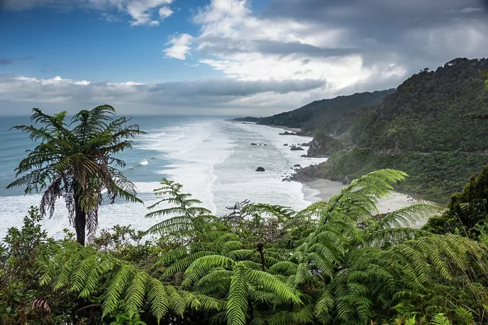 Framed Print : Fern-Lined Lookout Over Crashing Waves and Rugged Coastline in Paparoa National Park, West Coast, New Zealand Framed Print : Fern-Lined Lookout Over Crashing Waves and Rugged Coastline in Paparoa National Park, West Coast, New Zealand